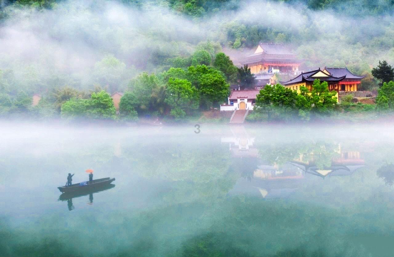 是什么花,哪位认识知识星球,专注知识分享与交流