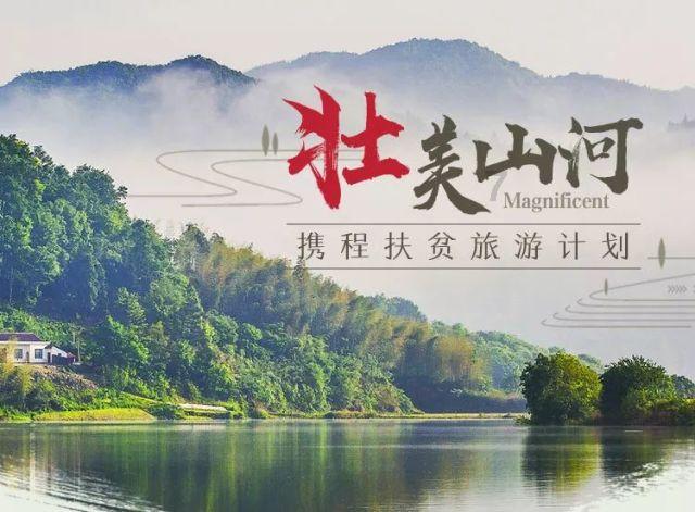 电灯接地线和火线为什么会偏暗呢?-解决问题的好帮手