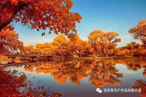 脑洞小老弟无实名认证