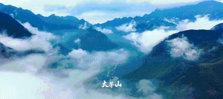 宝宝不喜欢吃蛋黄,怎样才能让他补充到足够的蛋白质?-知识星球平台,专注分享与学习