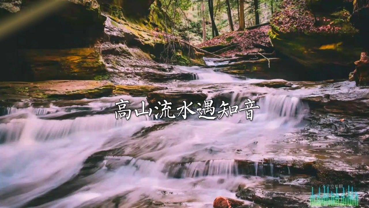 创作猫